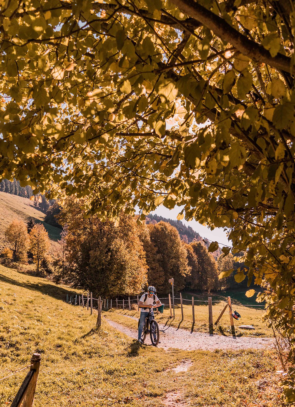 How to Spend Two Days in La Gruyere: Eat Cheese, See the Castle + Hike ...